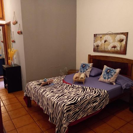 Divin'Art Bed and Breakfast Ribeira Grande Buitenkant foto